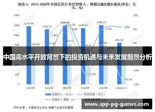 中国高水平开放背景下的投资机遇与未来发展前景分析