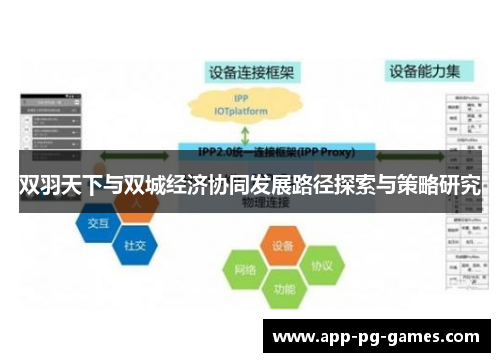 双羽天下与双城经济协同发展路径探索与策略研究