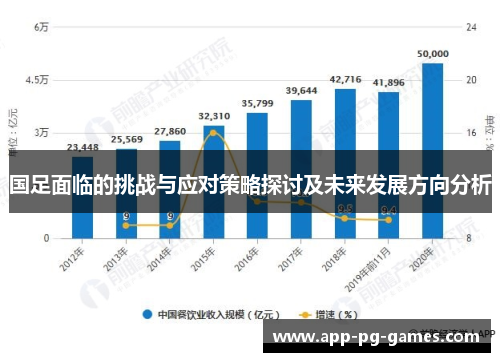 国足面临的挑战与应对策略探讨及未来发展方向分析