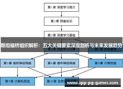 斯坦福桥组织解析：五大关键要素深度剖析与未来发展趋势