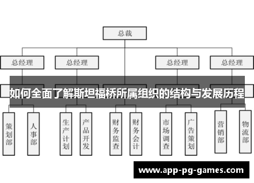 如何全面了解斯坦福桥所属组织的结构与发展历程