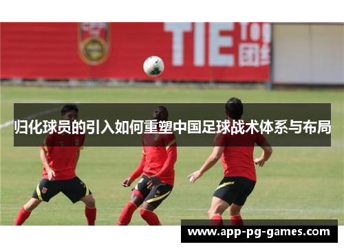 归化球员的引入如何重塑中国足球战术体系与布局