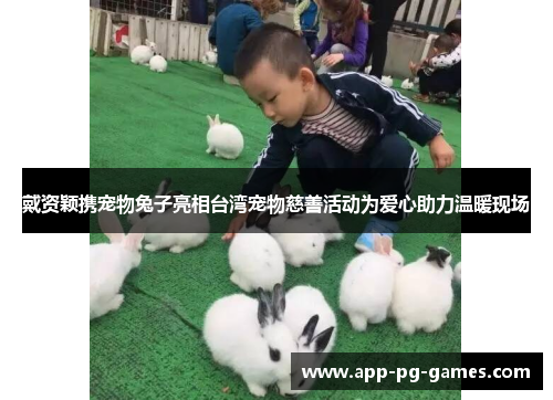 戴资颖携宠物兔子亮相台湾宠物慈善活动为爱心助力温暖现场