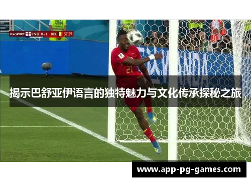 揭示巴舒亚伊语言的独特魅力与文化传承探秘之旅