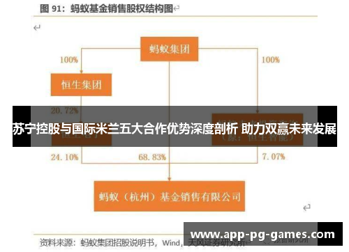 苏宁控股与国际米兰五大合作优势深度剖析 助力双赢未来发展