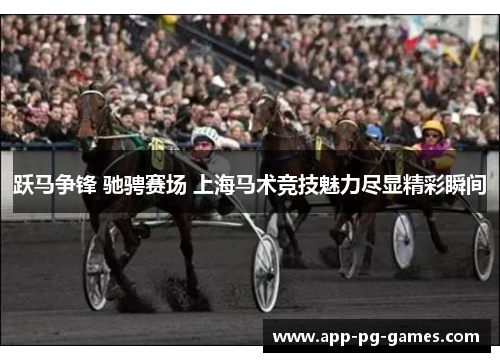 跃马争锋 驰骋赛场 上海马术竞技魅力尽显精彩瞬间