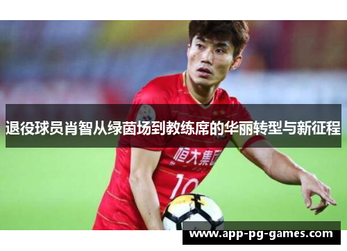 退役球员肖智从绿茵场到教练席的华丽转型与新征程