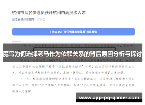 魔鸟为何选择老马作为依赖关系的背后原因分析与探讨